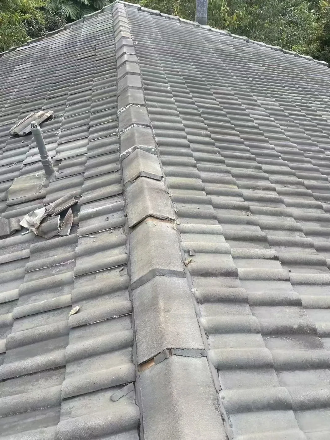 Long tiled roof ridge-line overview